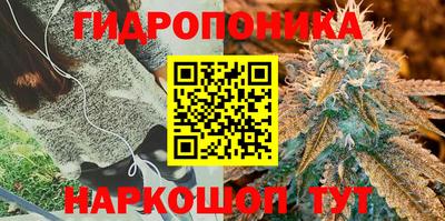 таблы Ставрополь